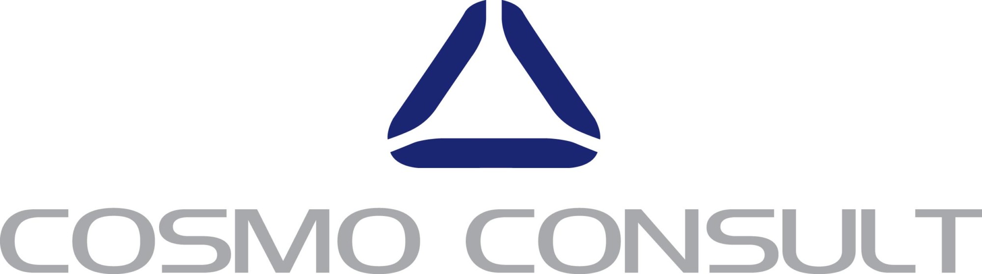 COSMO CONSULT GmbH